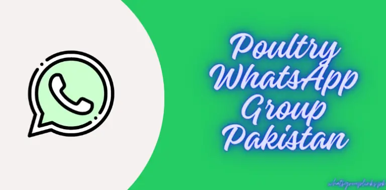 Poultry WhatsApp Group Pakistan